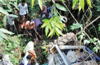 Sullia :  3 killed as tractor plunges into gorge